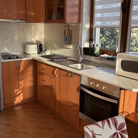 Cozy Mountain View With Balcony & Access Nearby - Serendipity בנסקו
