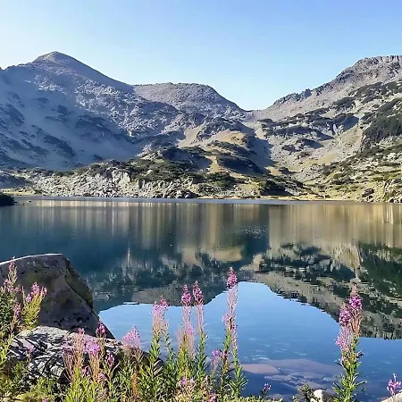 Mountain View With Balcony & Access Nearby - Serendipity 班斯科