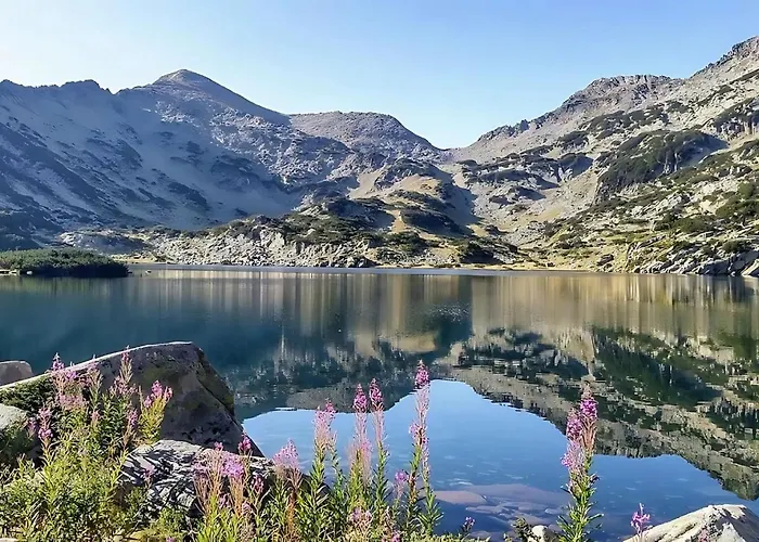 Mountain View With Balcony & Access Nearby - Serendipity Bansko